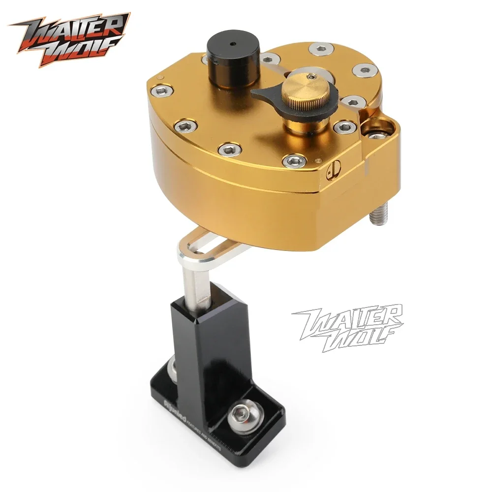 Morsetto stabilizzatore ammort - Steering Damper Stabilizer Kit Cnc recensione e prezzo